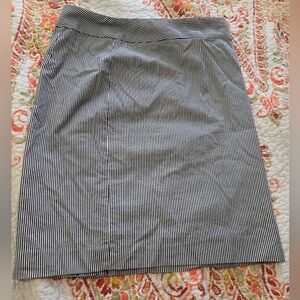Size 4 Banana Republic Navy and White Striped Skirt. Zipper.
